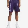 Mitchell And Ness Toronto Raptors Swingman Shorts Purple